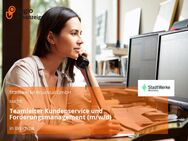 Teamleiter Kundenservice und Forderungsmanagement (m/w/d) - Bruchsal