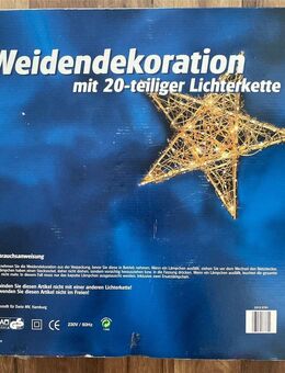 Lichterkette, 20-teilig NEUP/OVP, Weidendekoration gold - Berlin Mitte