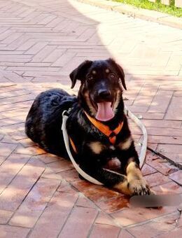 Sofia - gut vorbereitet ins neue Leben - Marienfließ