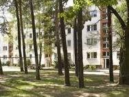 helle 1-Raum Wohnung in grüner Umgebung - Jüterbog Zentrum