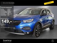 Opel Grandland X, 1.6 Turbo SPUR, Jahr 2019 - Mölln (Schleswig-Holstein)