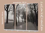 Roll-Up Display 3er-Set - Bestatter-Bedarf: "Tagore-Promenade, Plattensee" - Dekoration Trauerhalle - Wilhelmshaven Zentrum