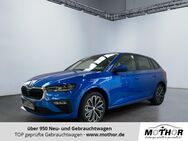 Skoda Scala, 1.0 TSI Drive Abstandstempomat, Jahr 2024 - Brandenburg (Havel)