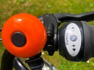 Ebike Prophete ca.160 km Tiefeinsteiger Mittelmotor - Ansbach