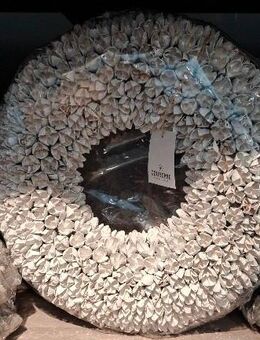 Kränze aus Bakuli- BKSchoten. Weiß. Graublaaus. Braun. 30cm je 28€€ - Kempen