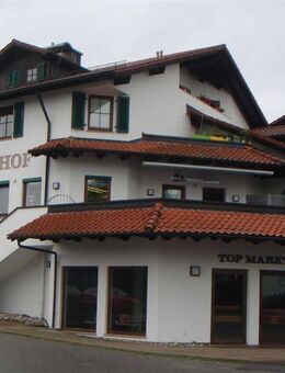 **schöne 2-Zimmer Wohnung mit Küche und TG-Stellplatz in Vogt zu vermieten!** - Vogt