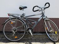 Herren-Fahrrad - Lohfelden