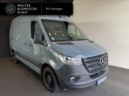 Mercedes Sprinter, 317 MBUX °, Jahr 2023 - Elmshorn