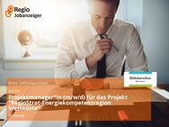 Projektmanager*in (m/w/d) für das Projekt "RegioStrat-Energiekompetenzregion Westküste" - Heide