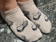 Süße Eulensocken - Essen