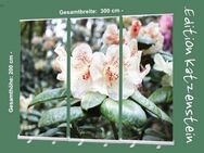 Bestatterbedarf: Roll-Up Display Set "Rhododendron Blüten in Hellgelb - Dekoration für Trauerhallen - Bestattungszubehör - Wilhelmshaven Zentrum