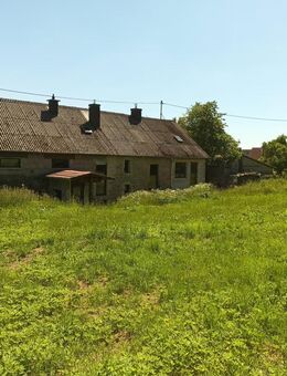 Charmantes Bauernhaus mit Geschichte, modernster Technik und großem Potenzial in Eckfeld - Eckfeld