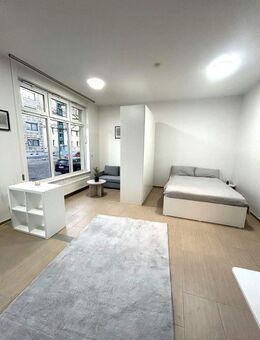 Möblierte Wohnung frisch saniert - direkt am Park Dessau u. EBK - Dessau-Roßlau