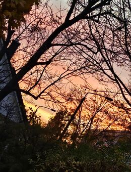 Liebevolle Familie sucht kleinen Hund - Leipzig Nord