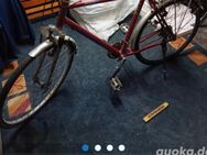 Herren Fahrrad 24 Zoll Marke Kastle - Bamberg