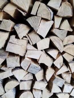 Brennholz Esche - Biberbach