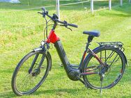 E-Bike Pegasus 28 Zoll Rahmen 50 - Reinheim