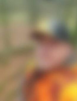 Dom*** - Niedernhausen