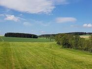 Herrliche Dachgeschosswohnung mit Einbauküche, großem Balkon und kleinem Garten zu vermieten - Tanna