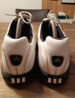 ADIDAS TOUR 360 GOLFSCHUHE - Westerstede