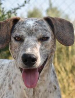 Dali in Plastiktüte Mr - Ludwigshafen (Rhein)