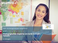 Pädagogischer Experte (m/w/d) Vollzeit / Teilzeit - Uhingen