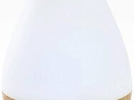 promed Diffuser AL-1300 WS, 1,3 l Wassertank