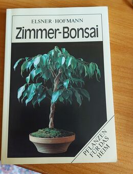 Zimmer-Bonsai von Elsner/Hofmann NEU! - Leipzig Ost