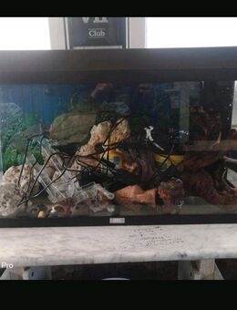Juwel Aquarium Primo 110 Komplettpaket - Michelstadt