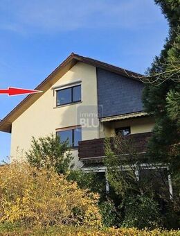 DG, ruhige Randlage, hell, TL-Bad, Kaminofen - Weingarten (Baden)