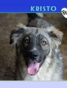 KRISTO - SUCHT SEINE HERZENSMENSCHEN - Alfeld (Leine)