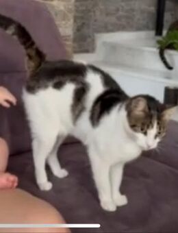 Lilya - die Reine - Kirchheim (München)