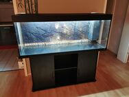 Aquarium Juwel Rio 400 + Unterschrank + viel Zubehör - Köln