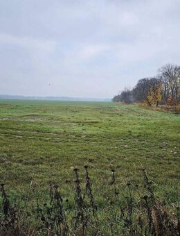 Werden Sie Landwirt. Drei-Seiten-Hof mit viel landwirtschaftlichen Flächen - Uebigau-Wahrenbrück