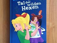 BIBI BLOCKSBERG ~ IM TAL DER WILDEN HEXEN ~ Kinderbuch 2010, ungelesen, Hardcover, gepflegt - Bad Lausick