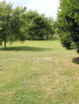 + + gute Raumaufteilung + + anspechendes Bad + + Loggia + + Garten + + - Mönchengladbach