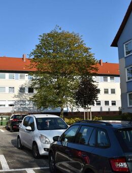 Schöne 2 Zimmer Wohnung in Salzgitter-Bad - Salzgitter