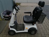 Elektro Scooter MAYRA 412 zu verkaufen - Leipzig West