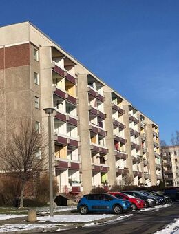 Für den Single - Kitzscher