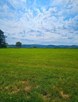 Rarität in fast Alleinlage hoch über dem Siegtal! Nur ca. 6 km bis Eitorf. - Eitorf