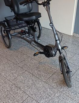 Dreirad E-Bike pfautec scoobo/Gelegenheit - Langenfeld (Rheinland)