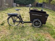 Babboe E-Dog - Troisdorf