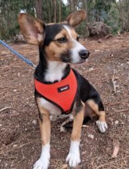 SPIKE - wer verliebt sich? <3 - Velbert