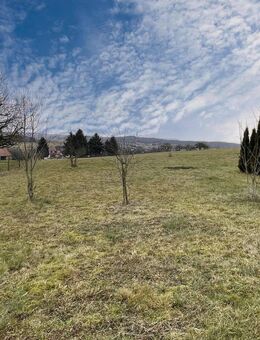 +++Wallroth+++ 1-2 Familienhaus mit großem Grundstück am Feldrand mit Platz und Aussicht+++ - Schlüchtern