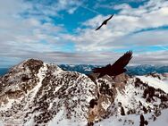 Deutschlands höchstes Penthouse mit Blick über’s Chiemgau! - Brannenburg