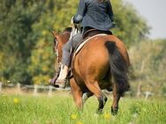 §Das Leben erdrückt dich, in deiner Rolle als Frau/Hausfrau.Vielleicht möchtest du es, mit etwas Hilfe bereichern? - Landshut