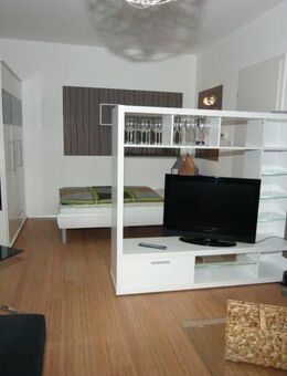 Sensationell!! Möblierte Wohnung mit Kaminofen in der Altstadt - Nürnberg