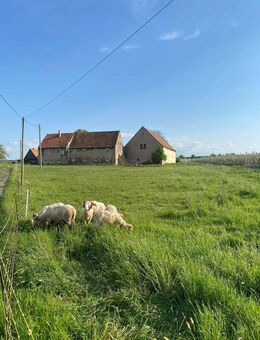 exponierter Vierseithof in malerischer Alleinlage zum Verkauf ! - Struppen