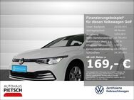 VW Golf, 1.5 TSI VIII Life, Jahr 2023 - Melle