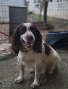 Jemy - Geilenkirchen